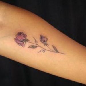 Meet your Posher, Tara